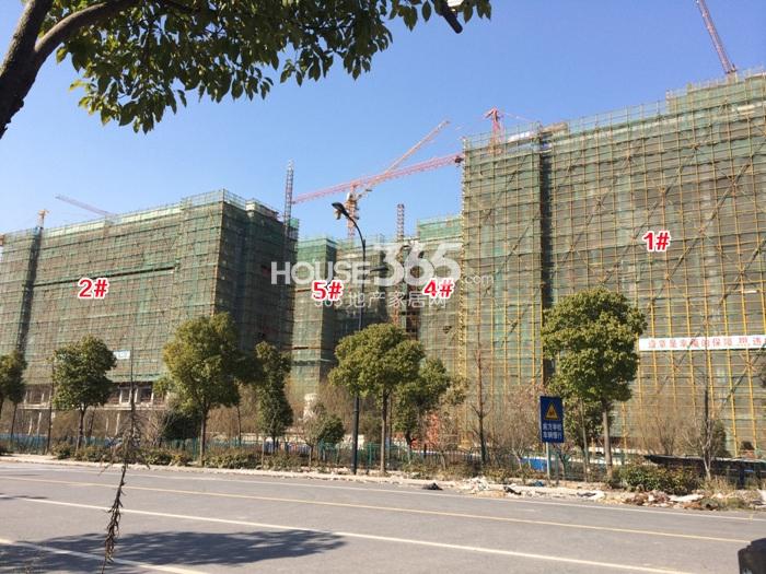 2015年2月大家运河之星项目实景--1、2、4、5号楼