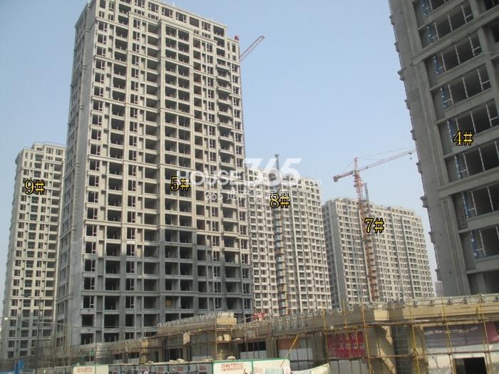 滨江万家名城一期4、5、7-9号楼施工进度 2015年2月摄 