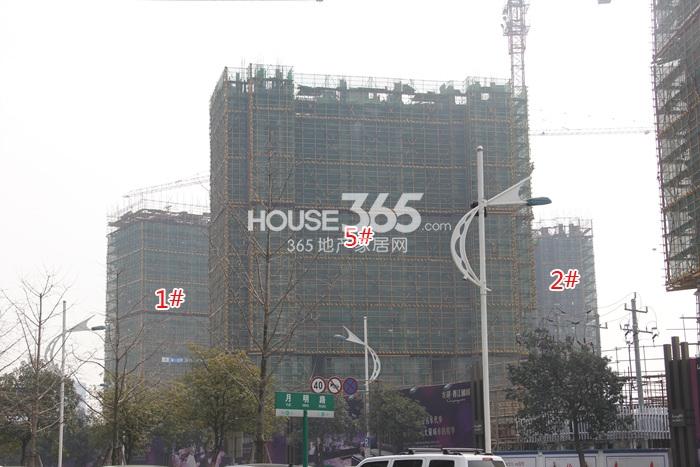 2015年3月底龙湖春江郦城项目实景--1、2、5号楼