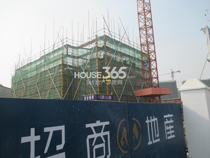 2015年4月底雍景湾项目实景--3号楼