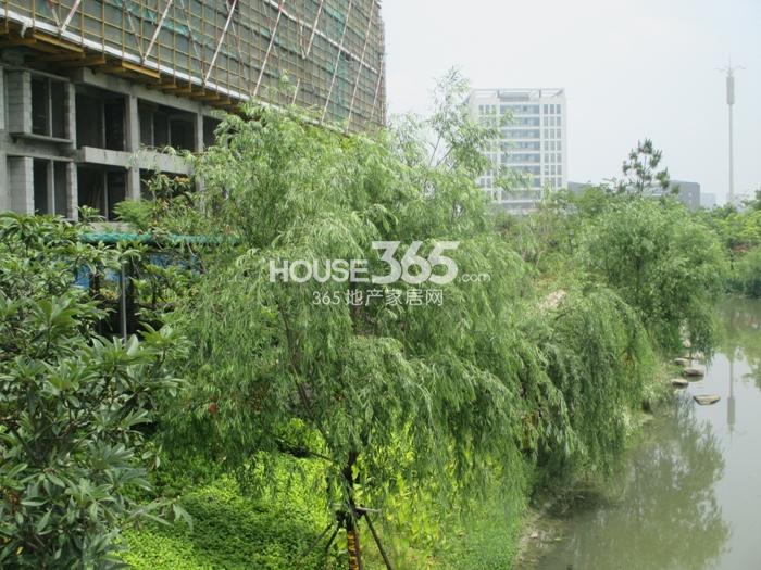 中旅城仕公馆沿河实景图 2015年5月摄