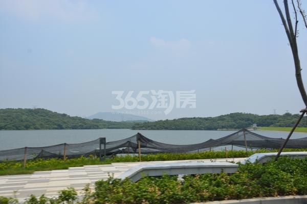 瑞安翠湖山实景图（8.24）
