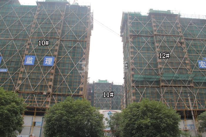 绿城蓝庭项目10、11、12号楼施工进程图（2015.8）
