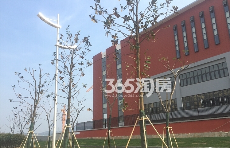 中海御山府周边配套学校实景图（11.15）