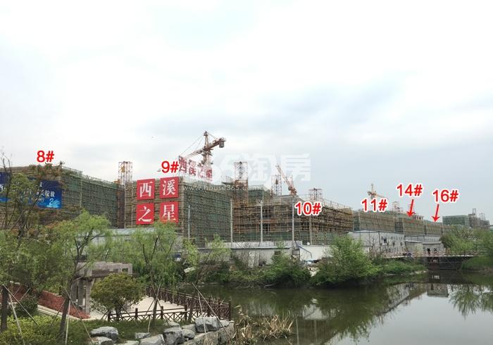 滨江西溪之星8—11、14、16号楼施工进程图（2016.3）